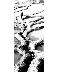 myriam dao - Elevation III, 110 x 268 cm, tirage pigment sur drop paper, 2003 myriam dao - Elevation III, 110 x 268 cm, tirage pigment sur drop paper, 2003