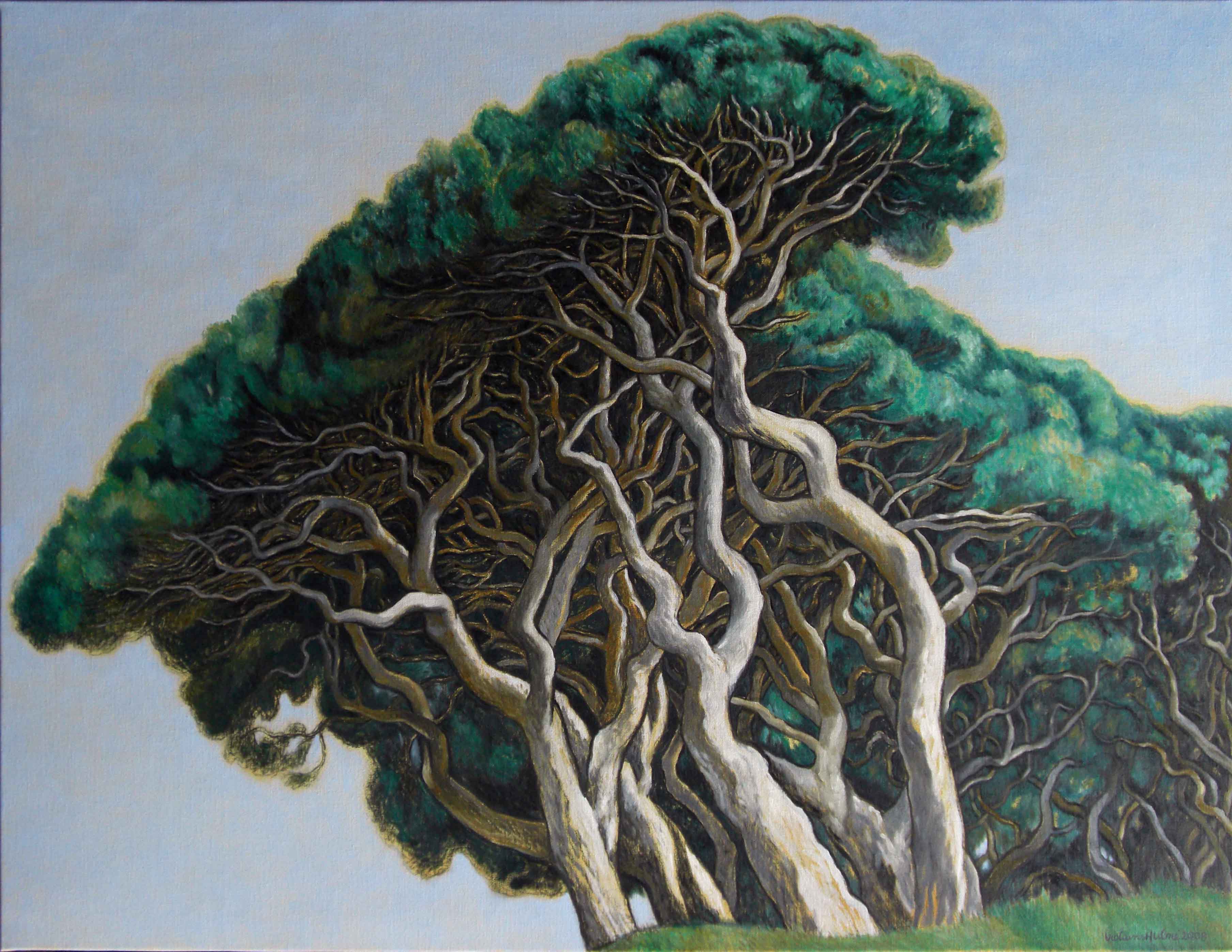 VIOLAINE HULNE - Pine tree in summer sky - 100X81cm - 2008 - oil on canvas VIOLAINE HULNE - Pine tree in summer sky - 100X81cm - 2008 - oil on canvas