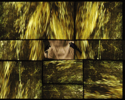 Bernard Gast - Dark mind (2008) - 1,4 x 1,2 m - Photographie Bernard Gast - Dark mind (2008) - 1,4 x 1,2 m - Photographie