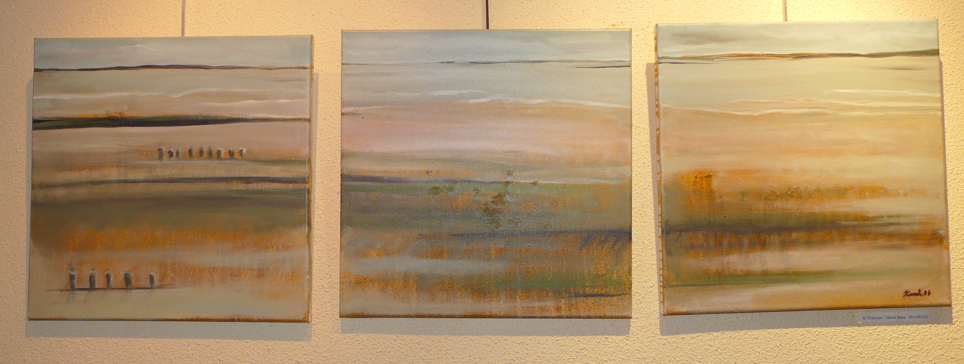 Anne ROBIN MASSE H. - Tiptyque, 3x 40x40, 2007, huile sur toile Anne ROBIN MASSE H. - Tiptyque, 3x 40x40, 2007, huile sur toile