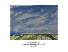 Marie-Cécile Defline - Falaises N°1 025X018 Juin 2008 Aquarelle sur papier Marie-Cécile Defline - Falaises N°1 025X018 Juin 2008 Aquarelle sur papier