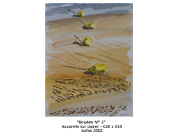 Marie-Cécile Defline - Bouées N°2 026X018 Juillet 2002 Aquarelle sur papier Marie-Cécile Defline - Bouées N°2 026X018 Juillet 2002 Aquarelle sur papier