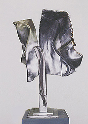 Alain VALTAT - Bronze Blanc - Lépidoptère Alain VALTAT - Bronze Blanc - Lépidoptère