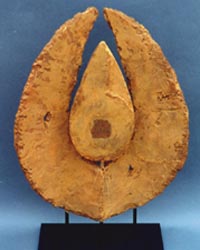 rencontre entre graphiste