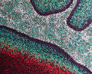 Sébastien Mercier - Spirit - 150 x 120 cm- 2007 - acrylique sur toile Sébastien Mercier - Spirit - 150 x 120 cm- 2007 - acrylique sur toile