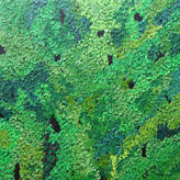 Sébastien Mercier - Chlorophylle. 150 x 150 cm - 2007 -acrylique sur toile Sébastien Mercier - Chlorophylle. 150 x 150 cm - 2007 -acrylique sur toile