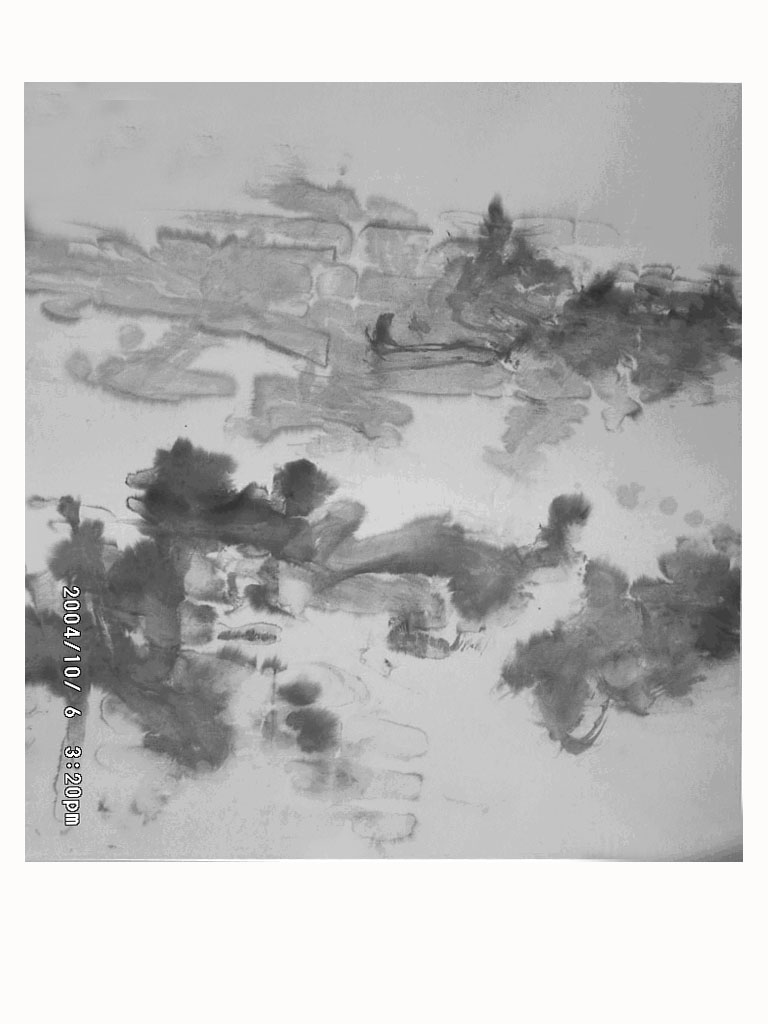 WEINONG CHEN - 2005 new work 2 WEINONG CHEN - 2005 new work 2