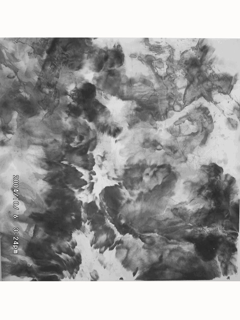 WEINONG CHEN - 2005 new work 3 WEINONG CHEN - 2005 new work 3
