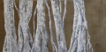 Amélie Réveilhac - trees of india Amélie Réveilhac - trees of india