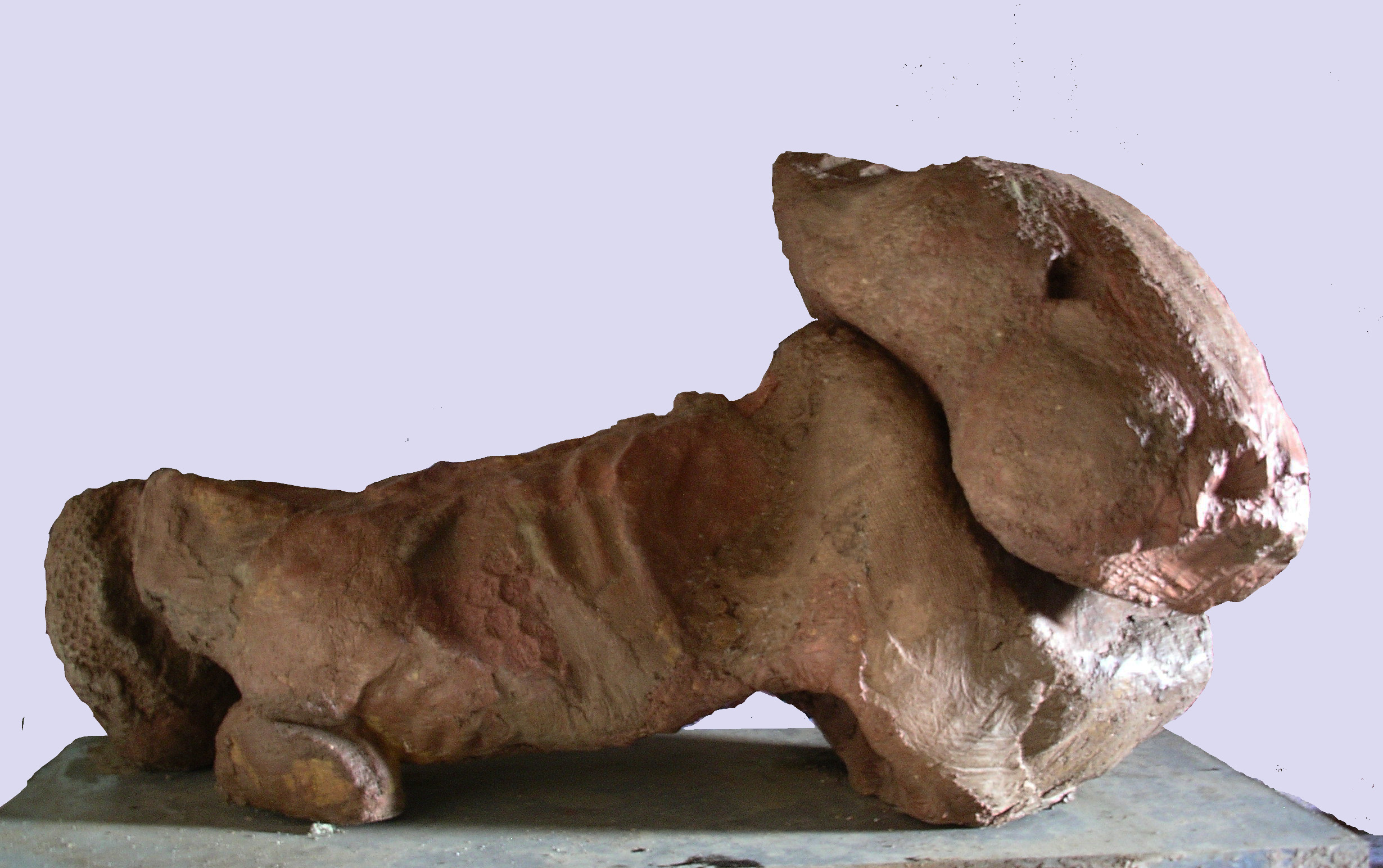 Catherine LEVEQUE - Gentille bête,50x90cm,Sept 2009,Béton Catherine LEVEQUE - Gentille bête,50x90cm,Sept 2009,Béton