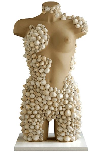 Claude MAYET - AGLAÉ - LES TROIS GRÂCES Patelles (Patella vulgata) sur manequin de vitrine. Hauteur : 82 cm. Signé Aye 2011 Claude MAYET - AGLAÉ - LES TROIS GRÂCES Patelles (Patella vulgata) sur manequin de vitrine. Hauteur : 82 cm. Signé Aye 2011