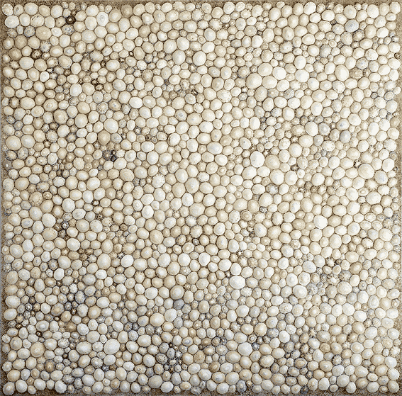 Claude MAYET - SOCIÉTÉ ANONYME - Patelles, sable (120 cm x 120 cm). Signé Aye 2009. Claude MAYET - SOCIÉTÉ ANONYME - Patelles, sable (120 cm x 120 cm). Signé Aye 2009.
