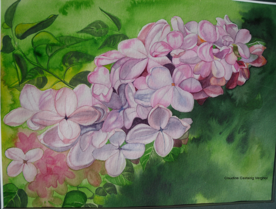 Claudine CASTAING-VERGNOL - grappe de lilas_aquarelle_2009 Claudine CASTAING-VERGNOL - grappe de lilas_aquarelle_2009