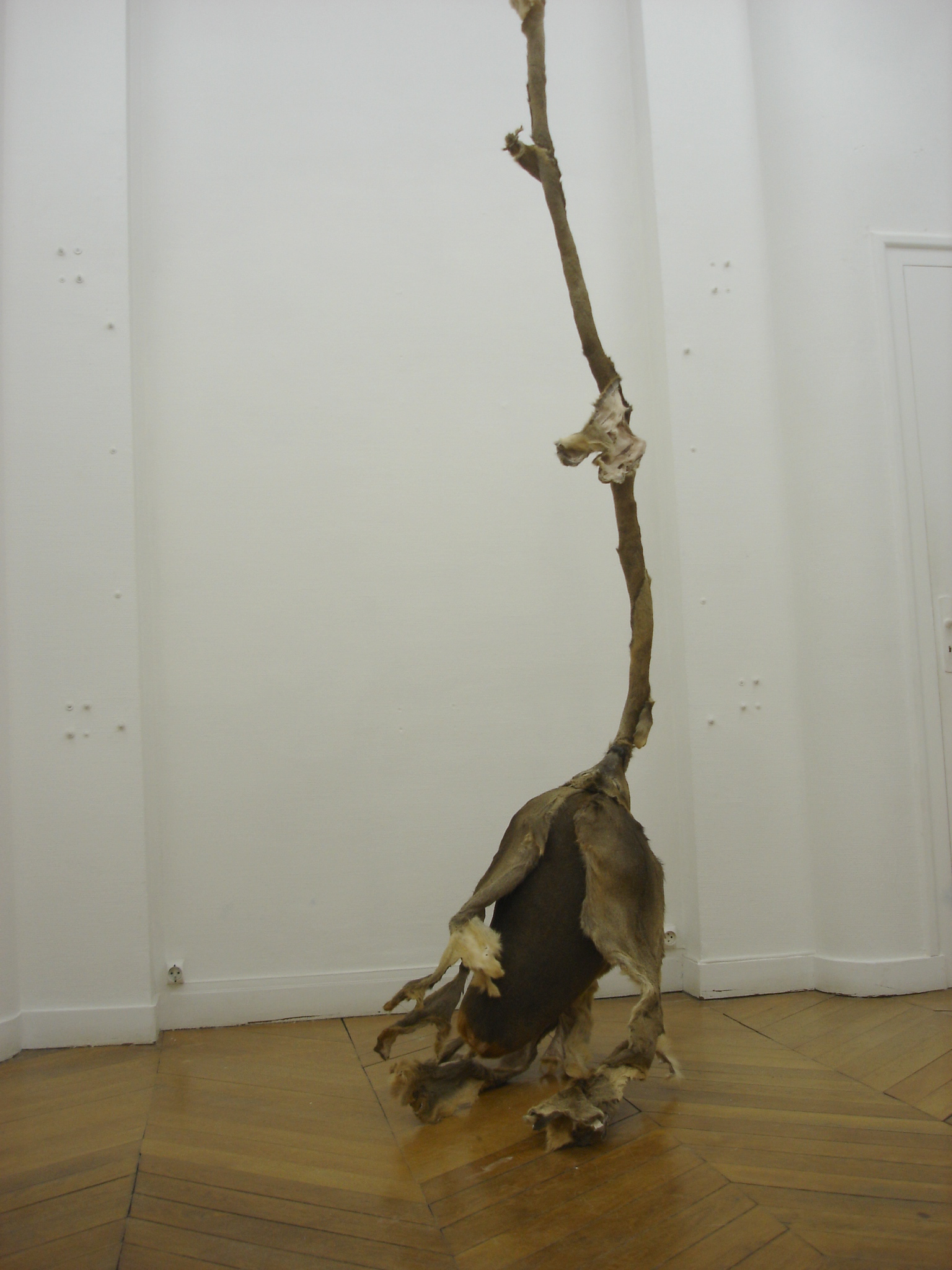ELISABETH GILBERT DRAGIC - BOUTON DE CHEVREUIL, env. 150x60x70cm + tige 280x10cm, 2010, peaux de chevreuil, mousse polyuréthane ELISABETH GILBERT DRAGIC - BOUTON DE CHEVREUIL, env. 150x60x70cm + tige 280x10cm, 2010, peaux de chevreuil, mousse polyuréthane