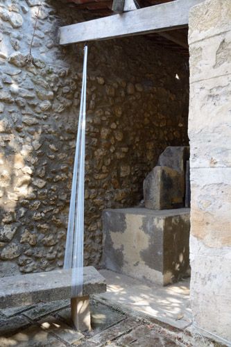 rencontre petrarque à avignon
