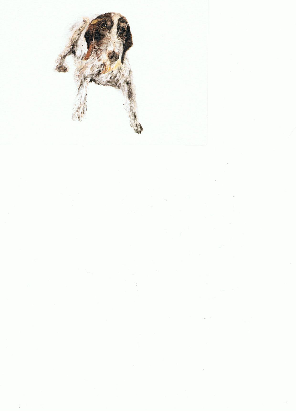 Fabie Lou - Douce - 24 x 30 - Pastels secs - 2010 Fabie Lou - Douce - 24 x 30 - Pastels secs - 2010