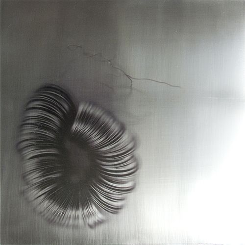 Fabienne Cuter - Metallic Poem #4, 60cm x 60cm, 2011, Photographie sur Acier Inoxydable Fabienne Cuter - Metallic Poem #4, 60cm x 60cm, 2011, Photographie sur Acier Inoxydable