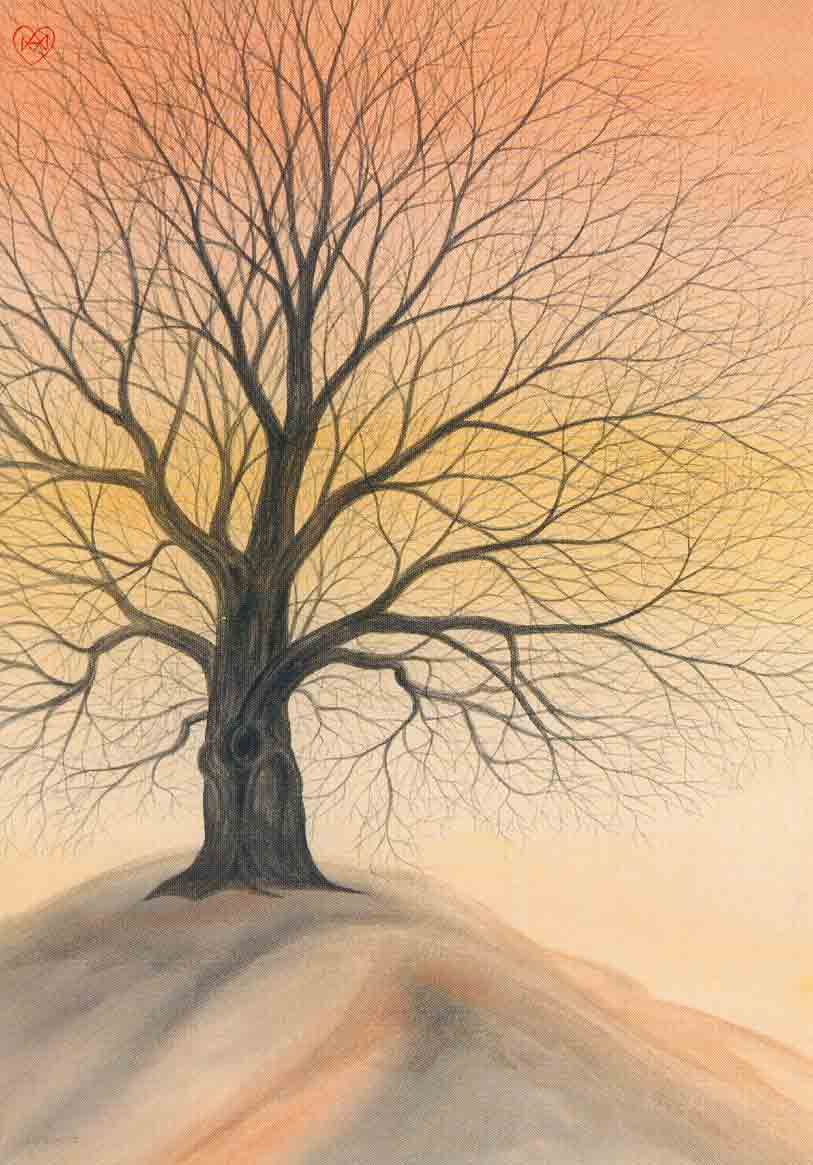 Francis SAILLART - Francis SAILLART -