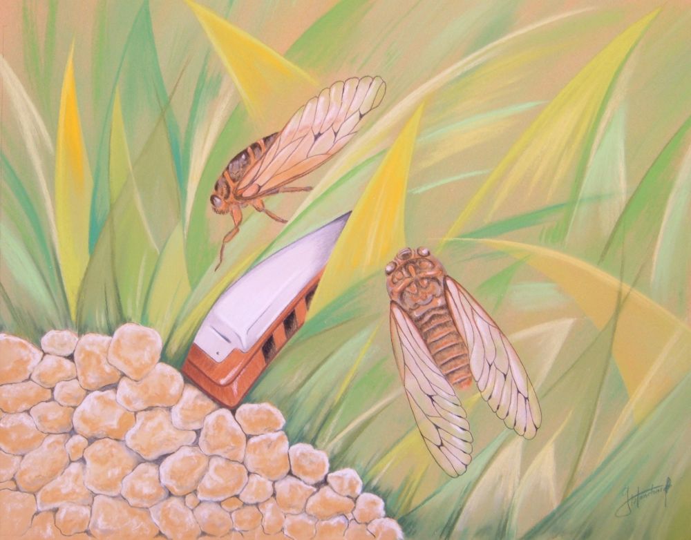 Gérard BLANCHARD - Cache-cache en Sancerroinie 40x50 Gérard BLANCHARD - Cache-cache en Sancerroinie 40x50