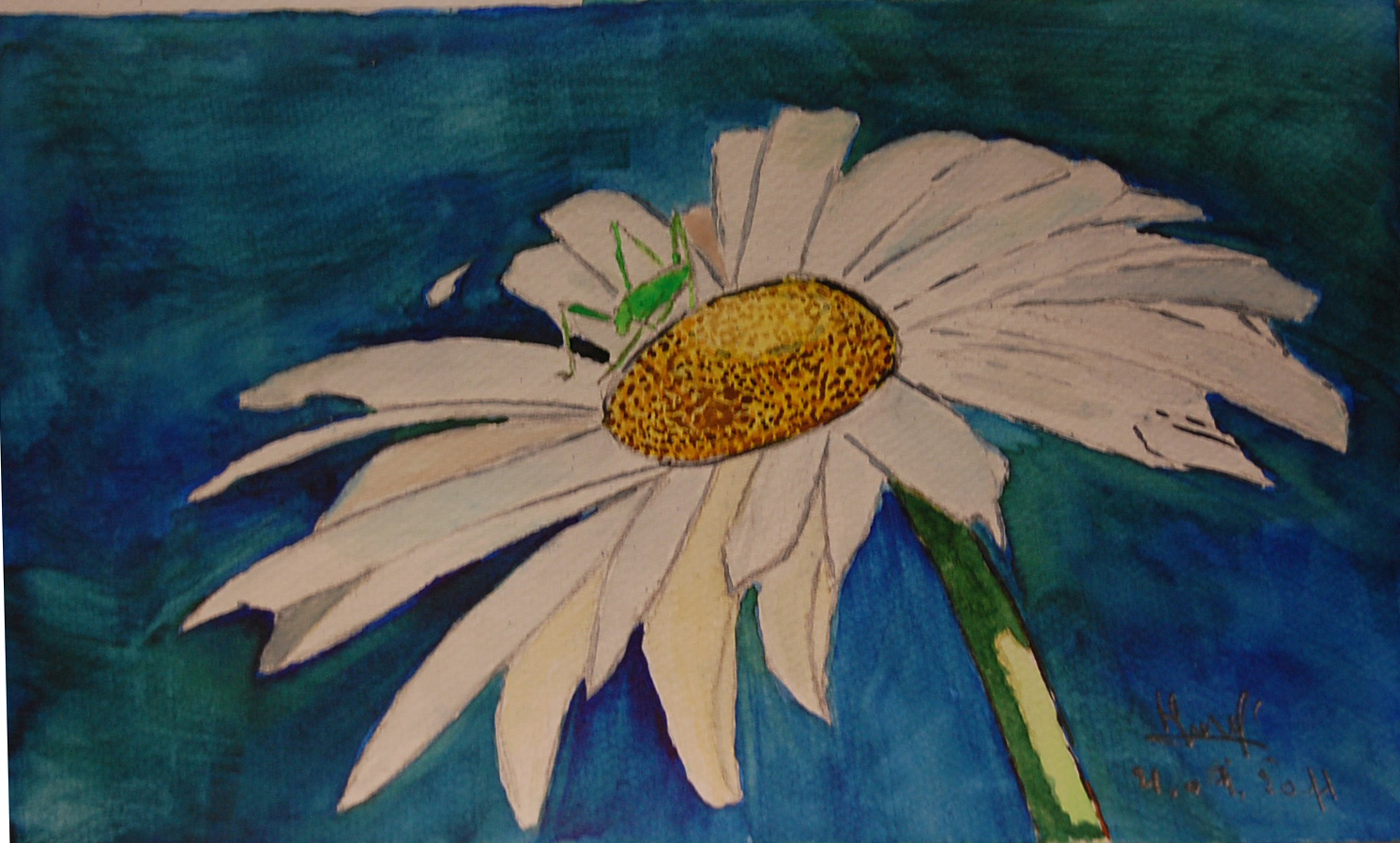 Hervé Gass - Sauterelle sur une marguerite ,Aquarelle Hervé Gass - Sauterelle sur une marguerite ,Aquarelle