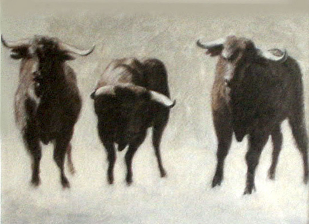 James LE GROS - Bulls James LE GROS - Bulls