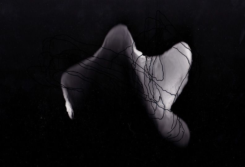 Jocelyne Outrequin - Encre de Chine sur papier de riz encollé, 38X50, aout 2010. Jocelyne Outrequin - Encre de Chine sur papier de riz encollé, 38X50, aout 2010.