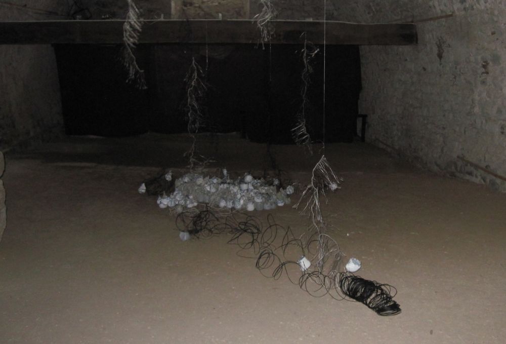 Mahin NOORMAH - La Terre Reverdira 2010,Fev.2011 ,Installation Carton,Fil,Plastique et Miroir Mahin NOORMAH - La Terre Reverdira 2010,Fev.2011 ,Installation Carton,Fil,Plastique et Miroir