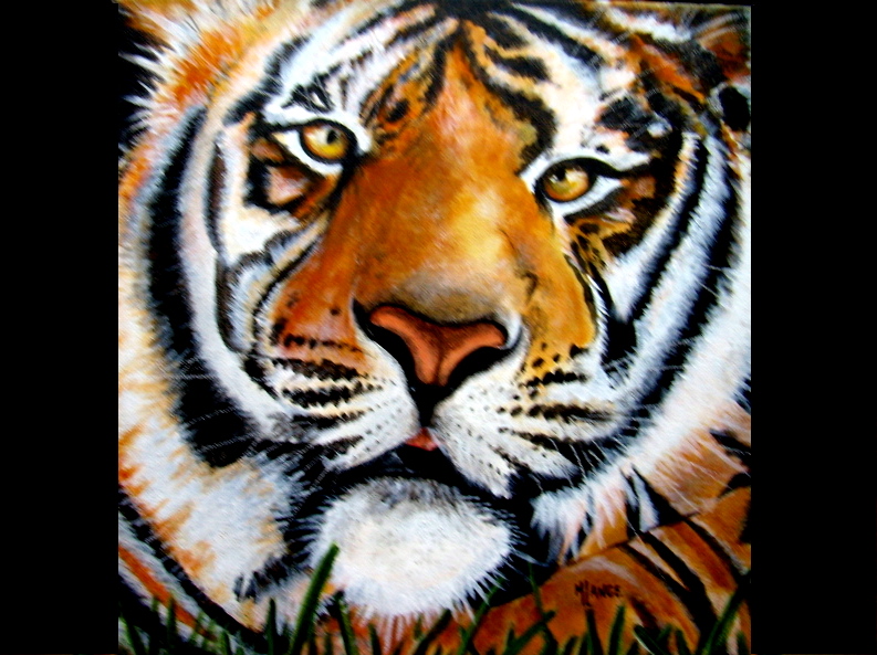 Michèle LANCE - le tigre peinture acrylique 30x30 décembre 2008 Michèle LANCE - le tigre peinture acrylique 30x30 décembre 2008