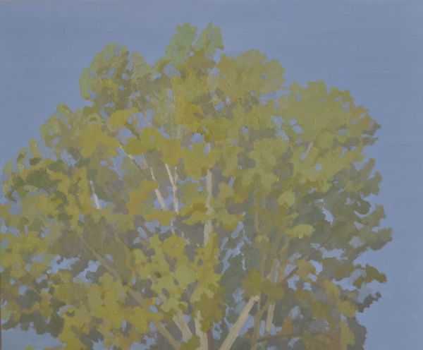 Peter HOPKER - Champ 2 (02/09) , 28 x 38 cm, huile sur bois. Peter HOPKER - Champ 2 (02/09) , 28 x 38 cm, huile sur bois.