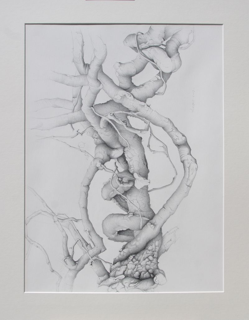 Philippe MARLE - arbre-aile, 62 x 43, mine de graphite et collages Philippe MARLE - arbre-aile, 62 x 43, mine de graphite et collages