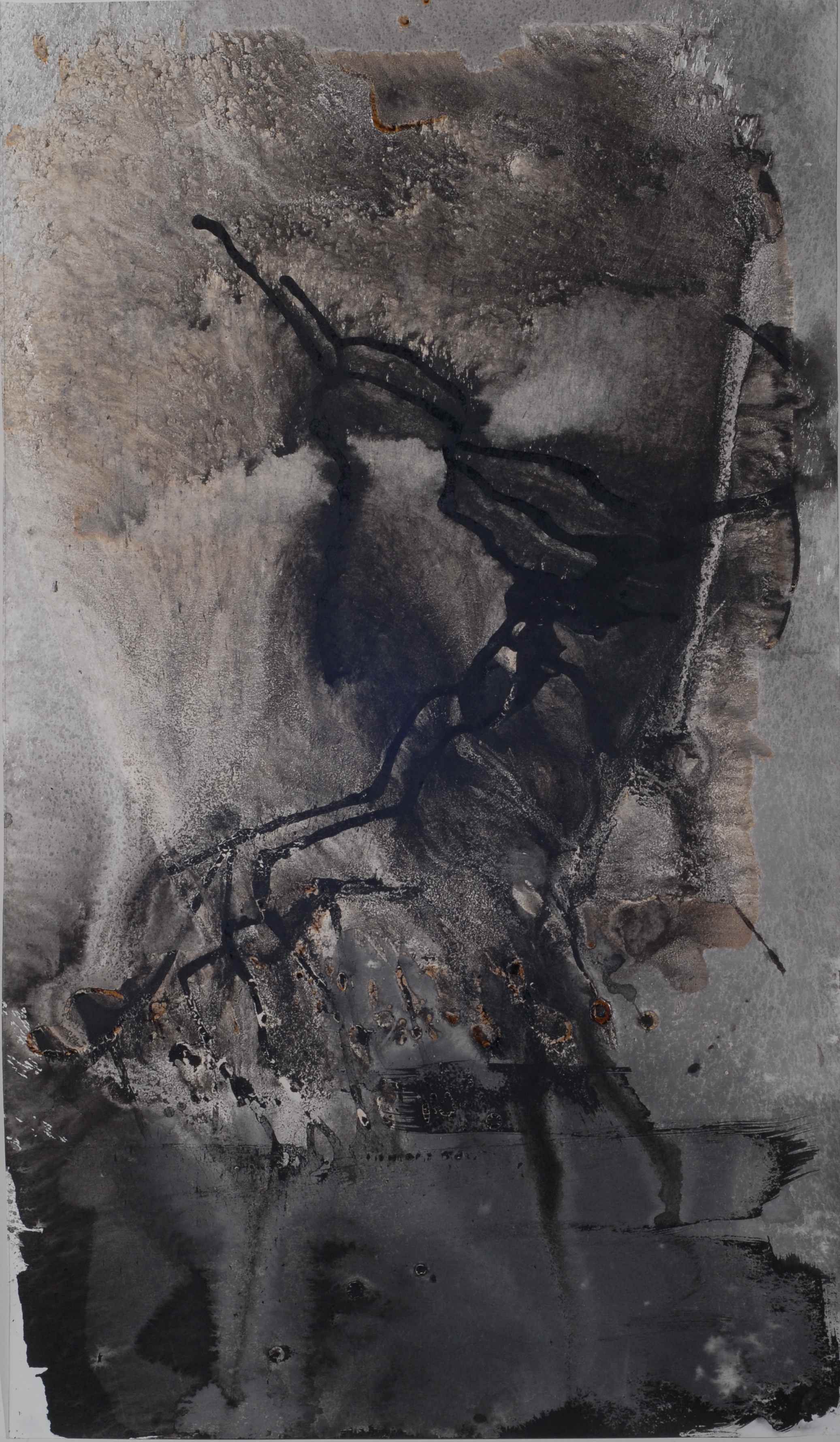 Pierre Passani - CHIMERE, 100 x 58 cm, Encre de Chine, 2009 Pierre Passani - CHIMERE, 100 x 58 cm, Encre de Chine, 2009