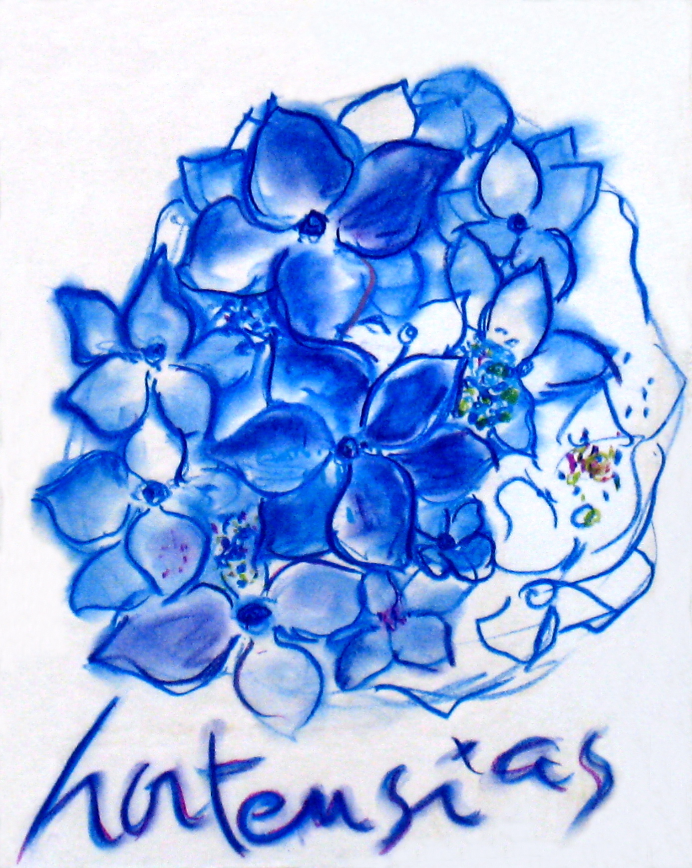 RITA BAGA - HORTENSIAS, 50x65 pastels secs RITA BAGA - HORTENSIAS, 50x65 pastels secs