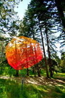 Sean McGINNIS - Sean McGINNIS -