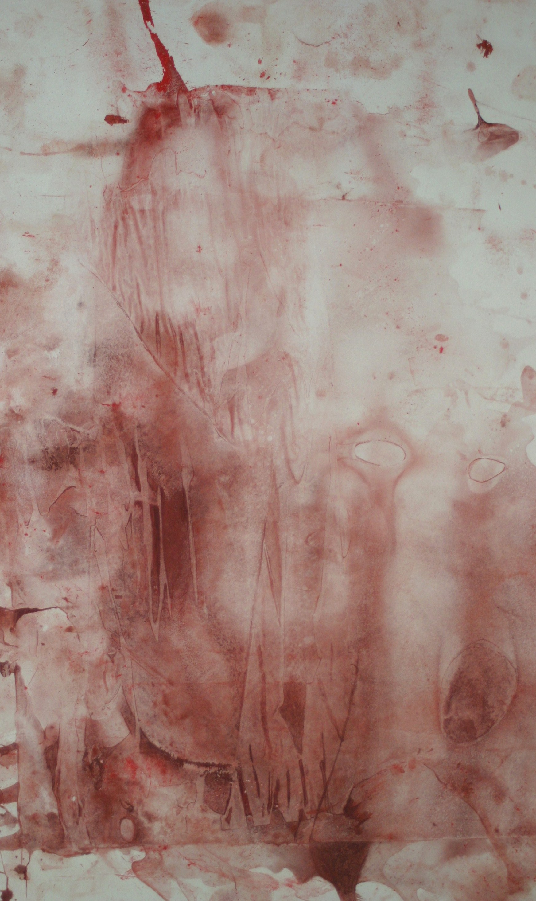 Veronique PINSON - Sous la Peau Chante la Terre, Oeuvre Numérique, 76 X 52, 2010, Encres sur aluminium Veronique PINSON - Sous la Peau Chante la Terre, Oeuvre Numérique, 76 X 52, 2010, Encres sur aluminium
