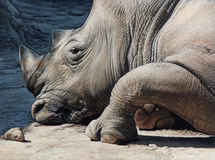 christophe DROCHON - Le Caillou et le rhino, 24x33cm, 2010, Acrylique /médium christophe DROCHON - Le Caillou et le rhino, 24x33cm, 2010, Acrylique /médium