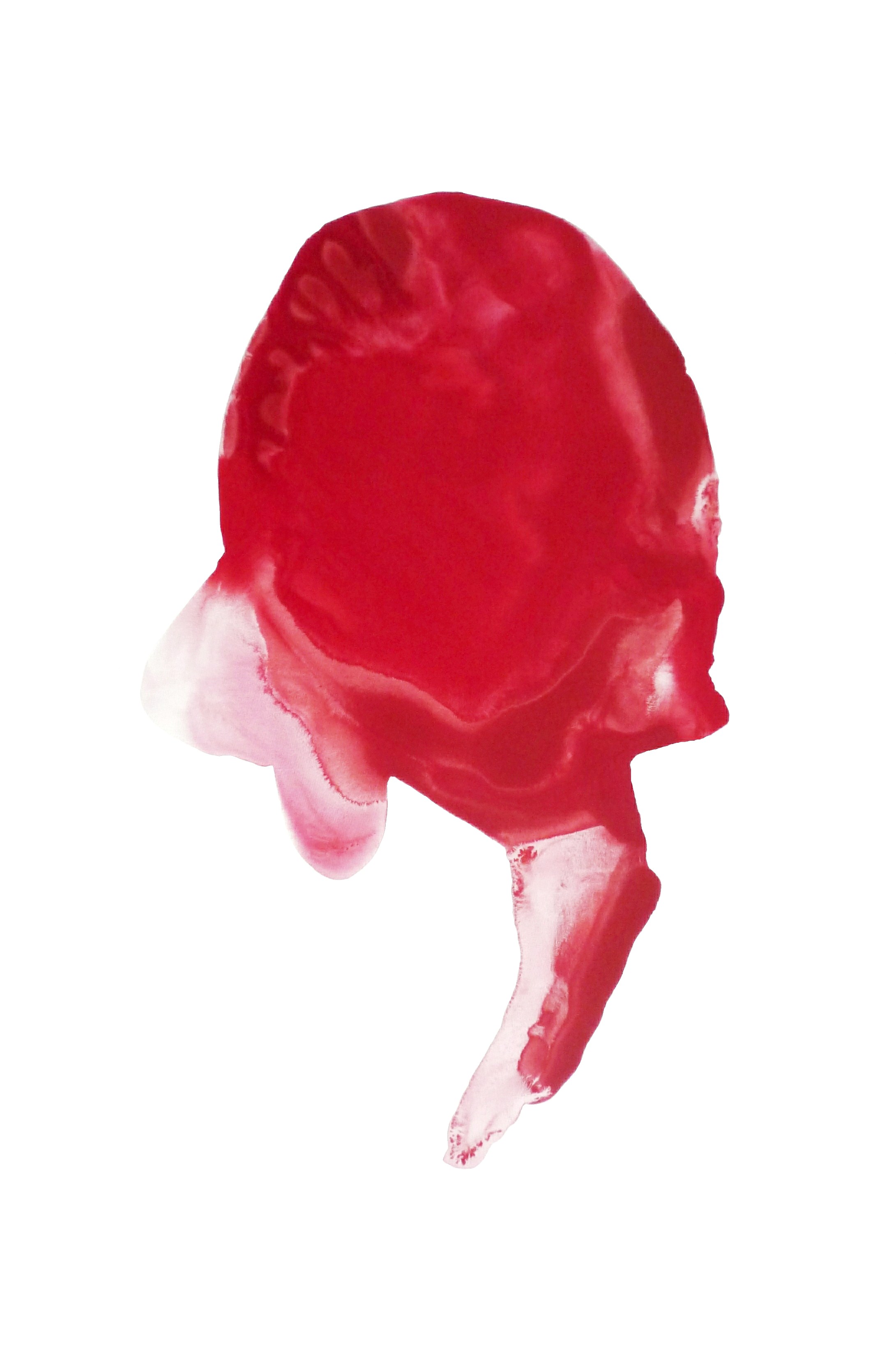 NATALIE LAMOTTE - 2010-T15 195x130, acrylc on canvas NATALIE LAMOTTE - 2010-T15 195x130, acrylc on canvas