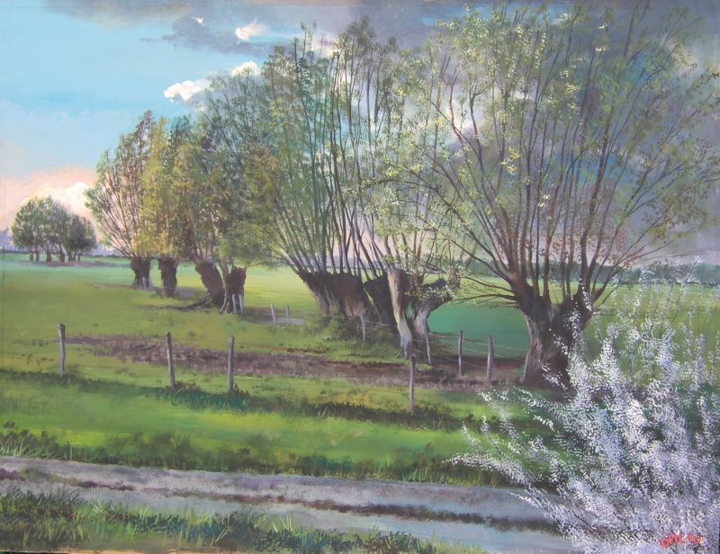 olivier FILLEUL dit Ofil - Polders à Dol 50x65cm juin 2010 gouache olivier FILLEUL dit Ofil - Polders à Dol 50x65cm juin 2010 gouache