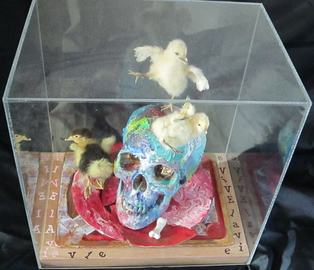 yvonne fassy - 2011 Sculture ,peinture , collage , naturalisation yvonne fassy - 2011 Sculture ,peinture , collage , naturalisation