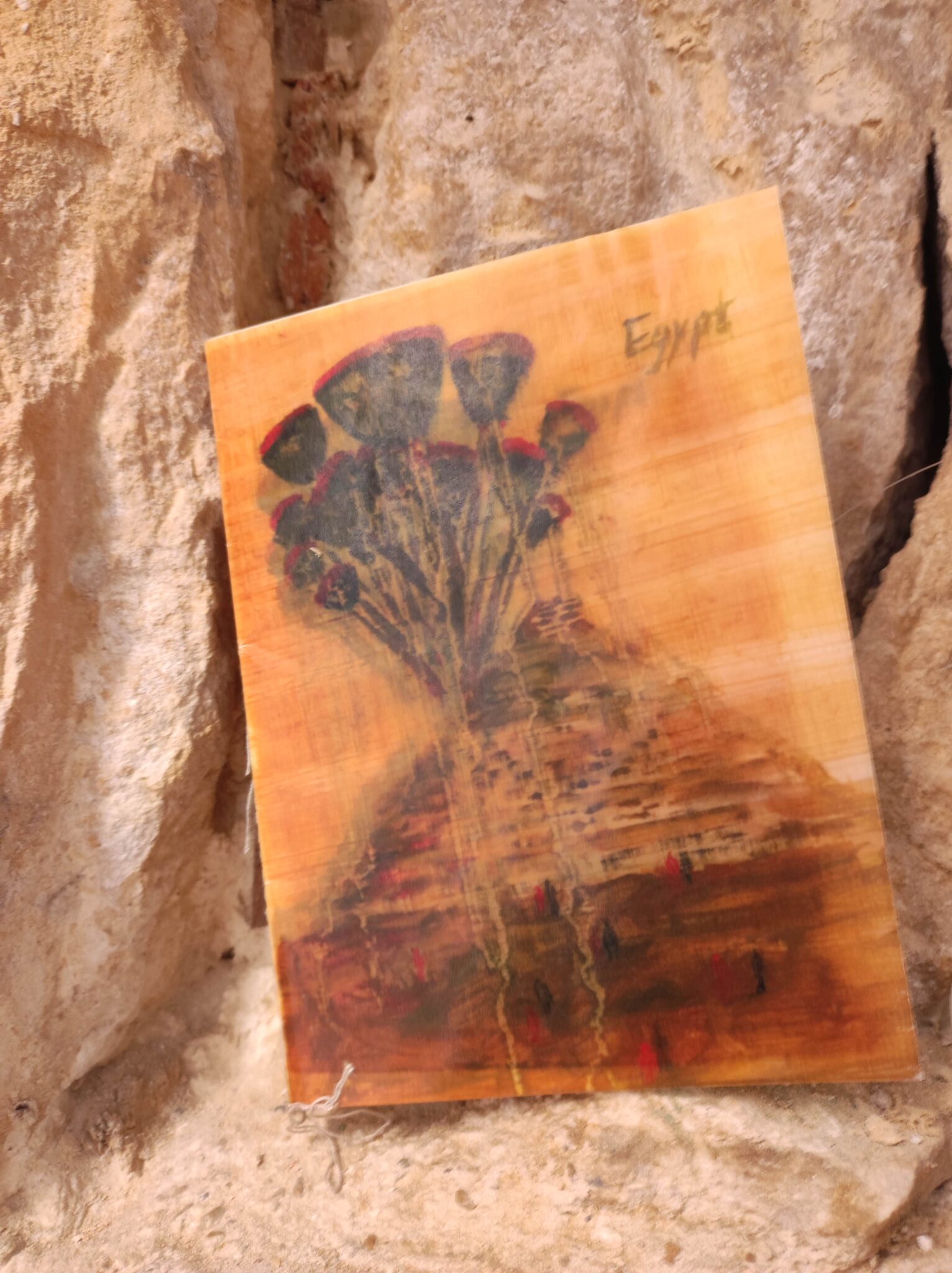 Exposition duo "Voyages intérieurs – Cartographies du vivant"