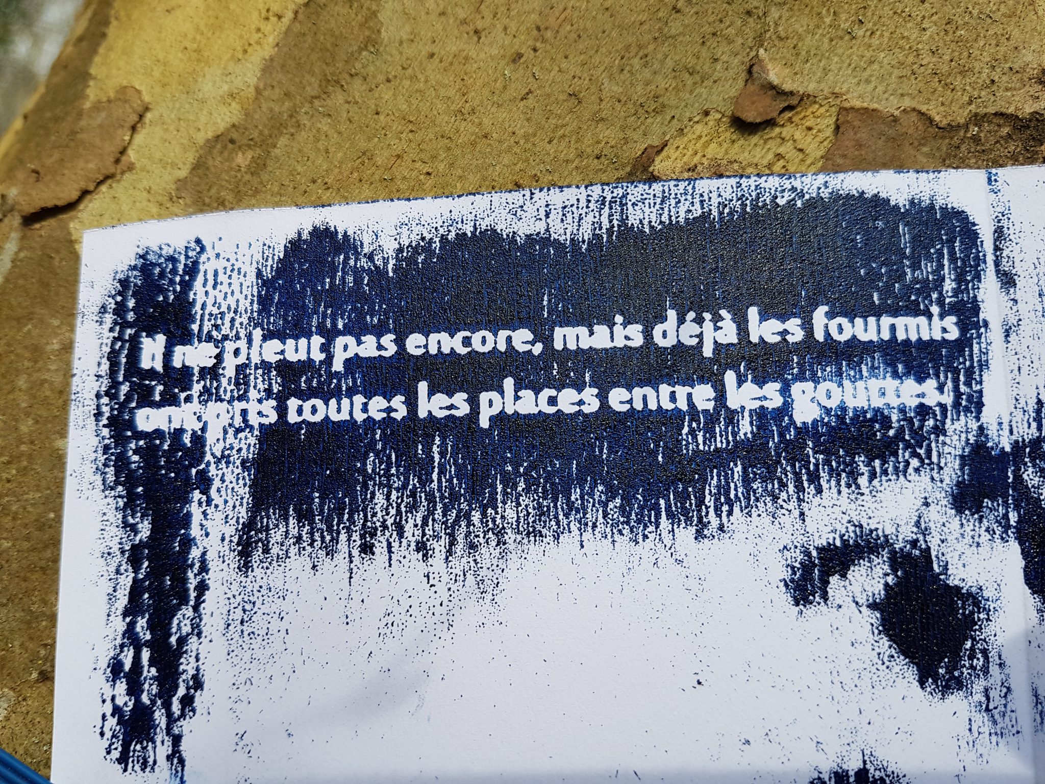 Micro-édition publique en forêt - Mais déjà les fourmis, Eric Chevillard