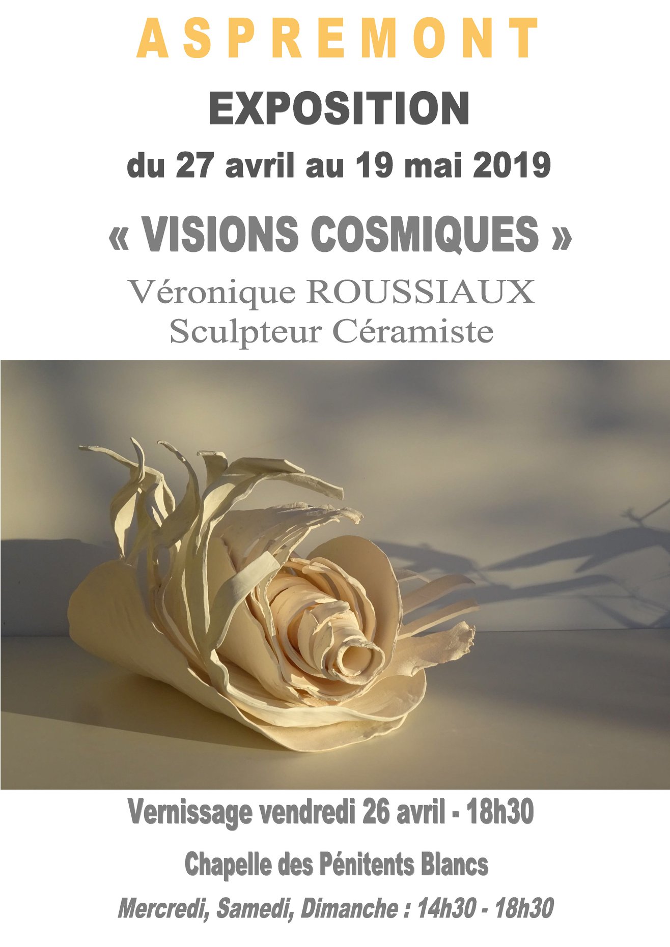 VISIONS COSMIQUES26