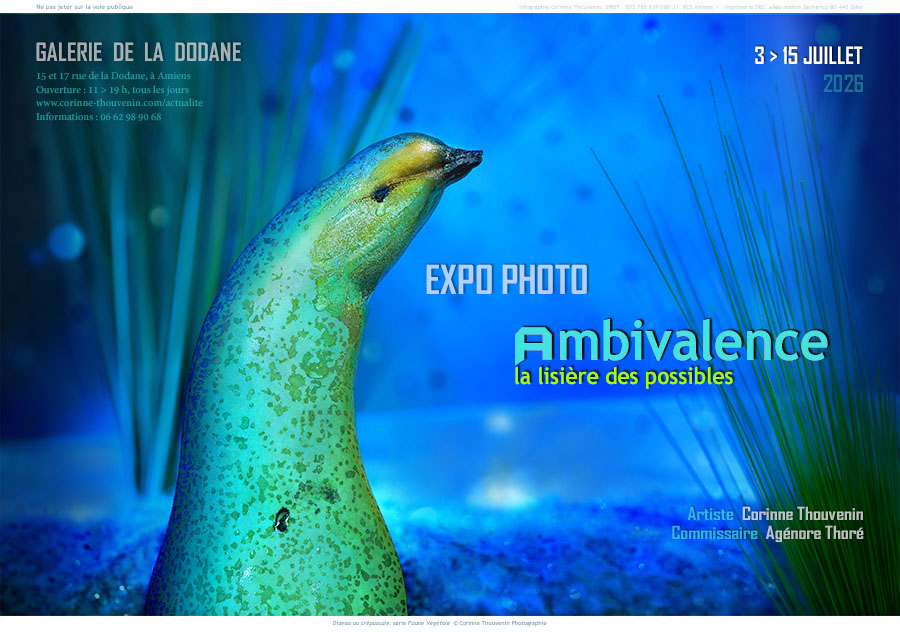 AMBIVALENCE, la lisière des possibles