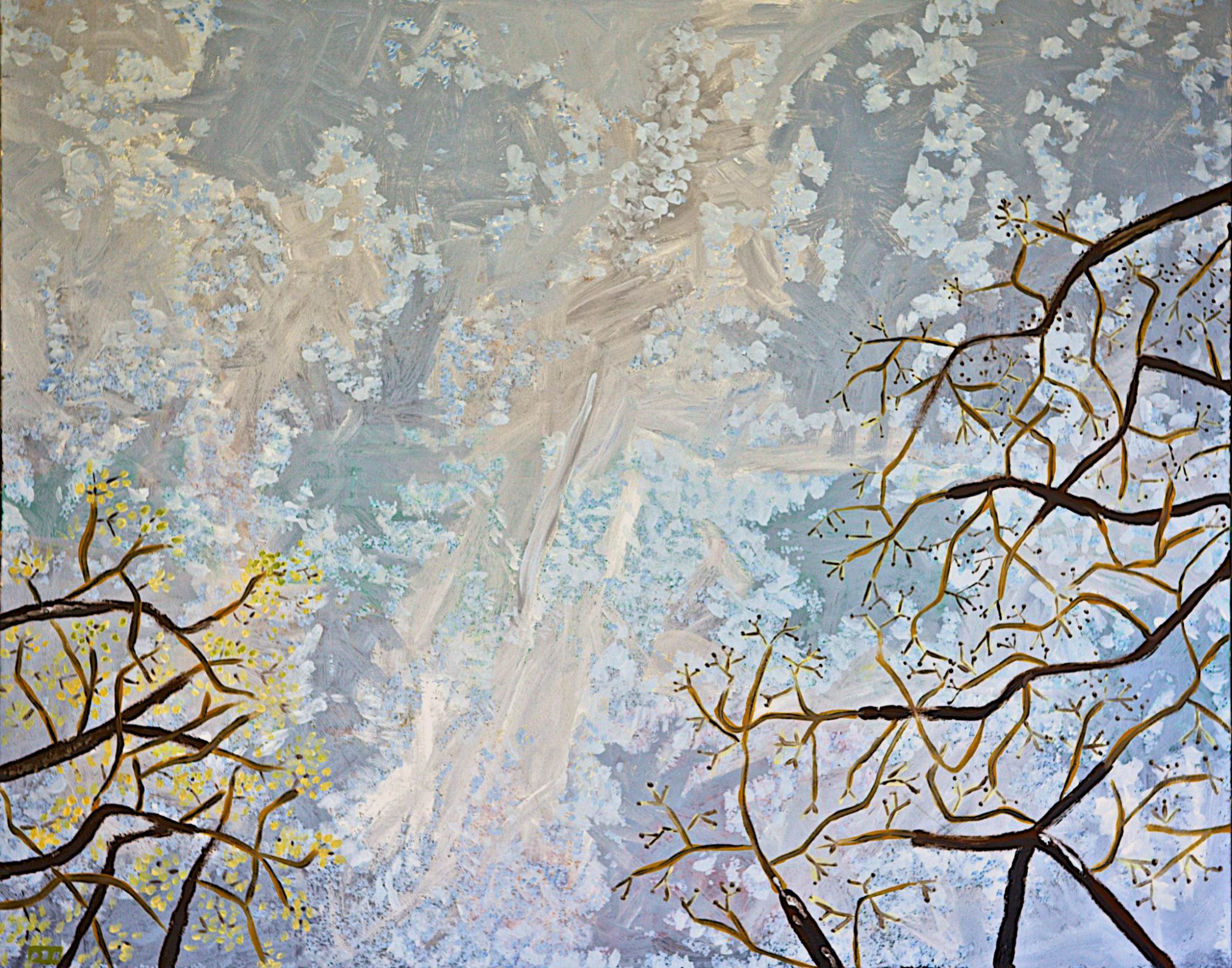 Exposition "Forêts"