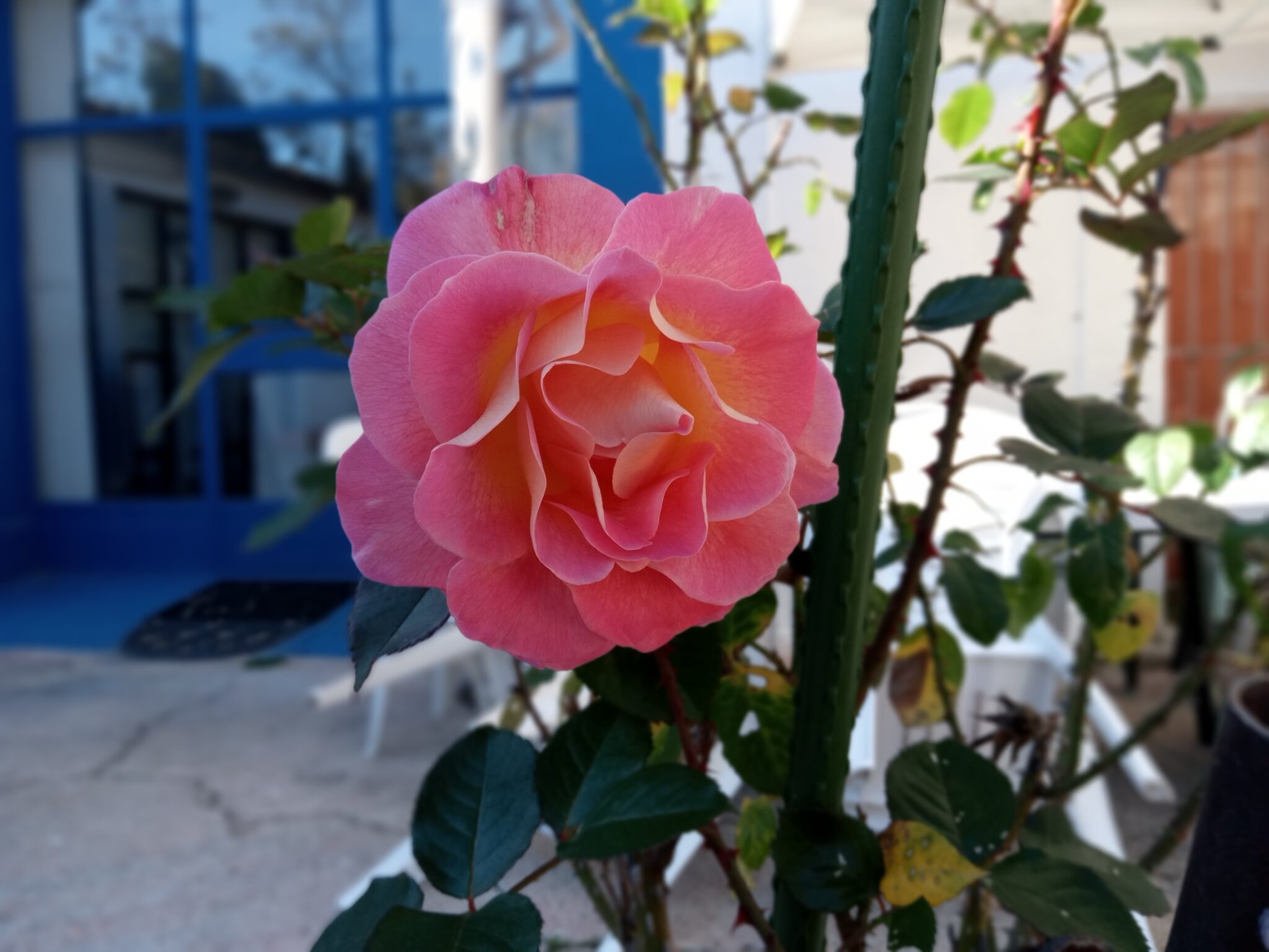 Un atelier, des artistes, des trésors à découvrir !