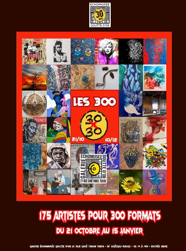 EXPO LES 300  30X30