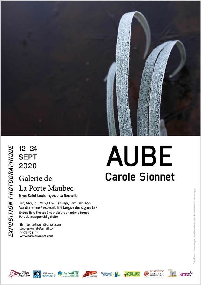 Exposition Photo AUBE de Carole SIONNET