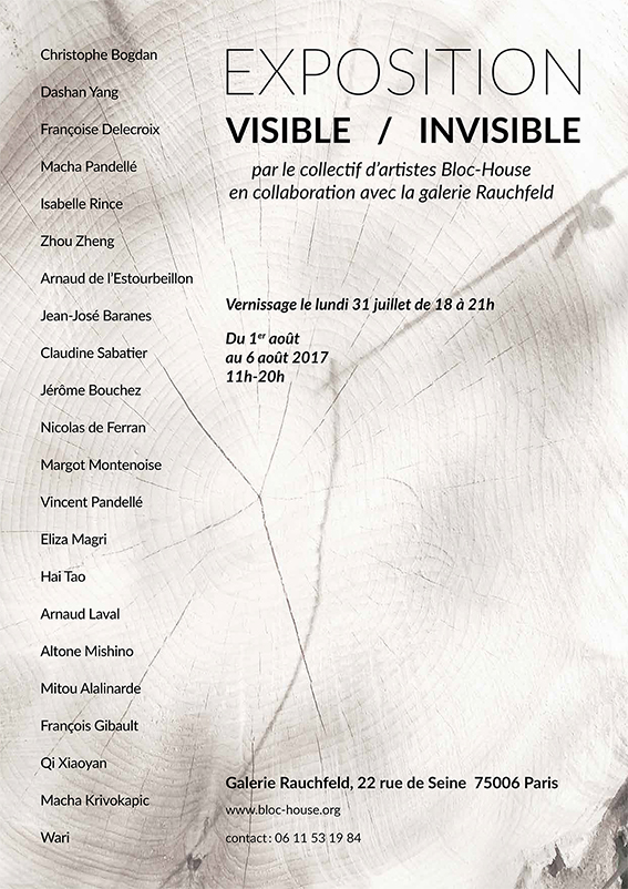 VISIBLE / INVISIBLE