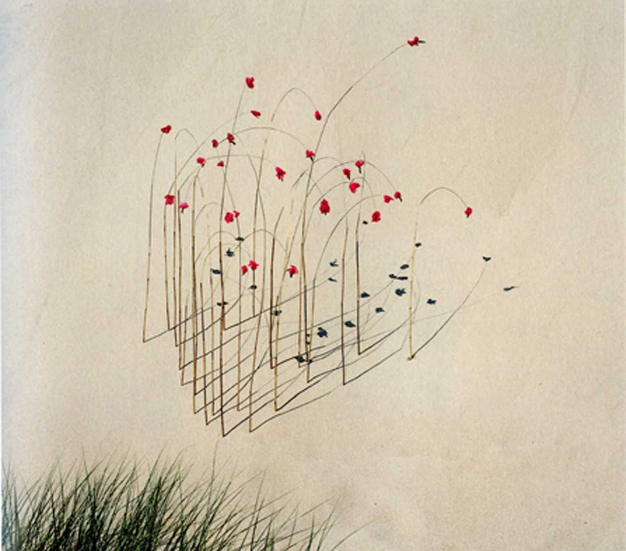 L’Eau et le Diamant