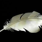 anne-deltour-2246-4