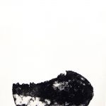 anne-paulus-4653-2